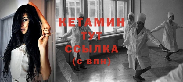 индика Елабуга